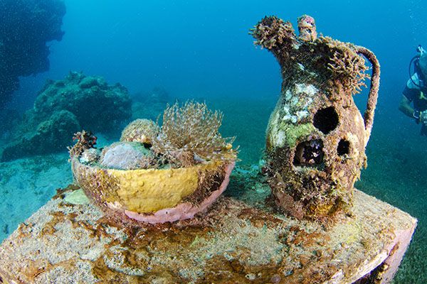 Упокоиться на морском дне: рифы из праха Упокоиться на морском дне: рифы из праха